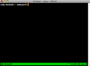 Terminal Multiplexer