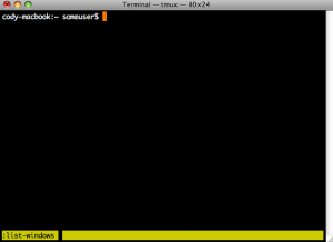 Terminal Multiplexer - Interactive Prompt