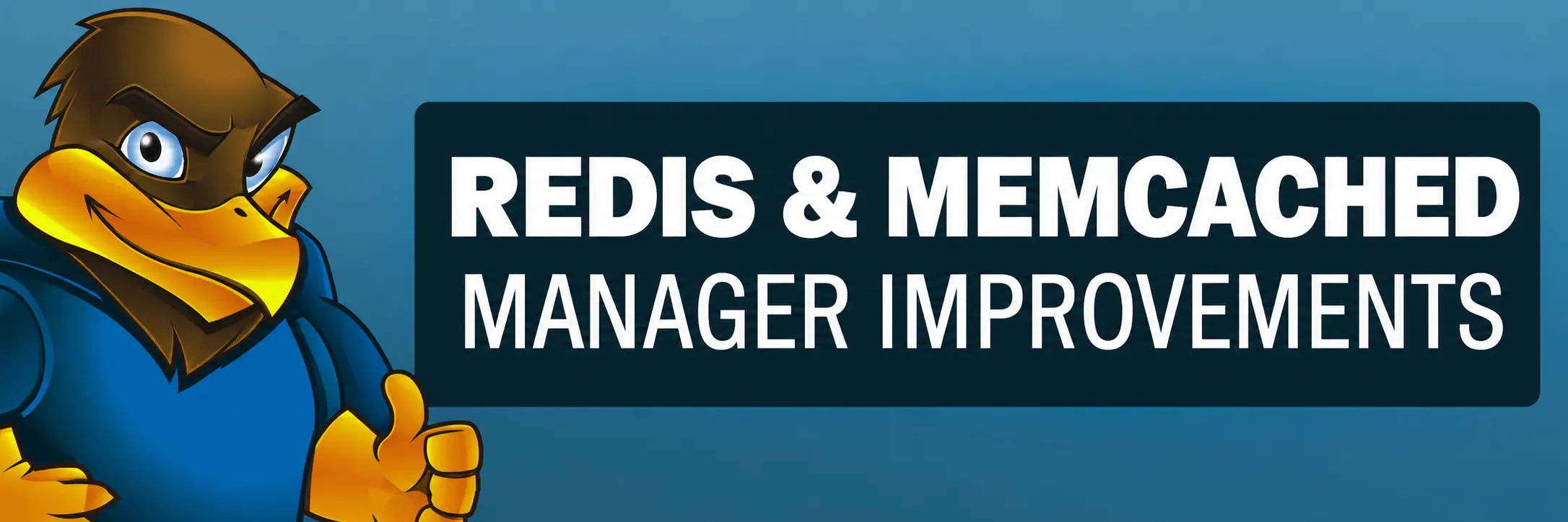 Redis and Memcached Manager Improvements