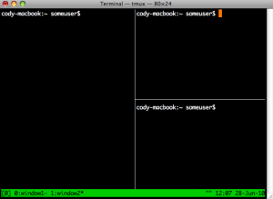 Terminal Multiplexer - Split Windows