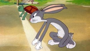 Is your website a tortoise or hare?