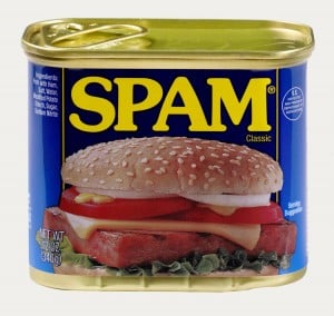 I do not like SPAM.