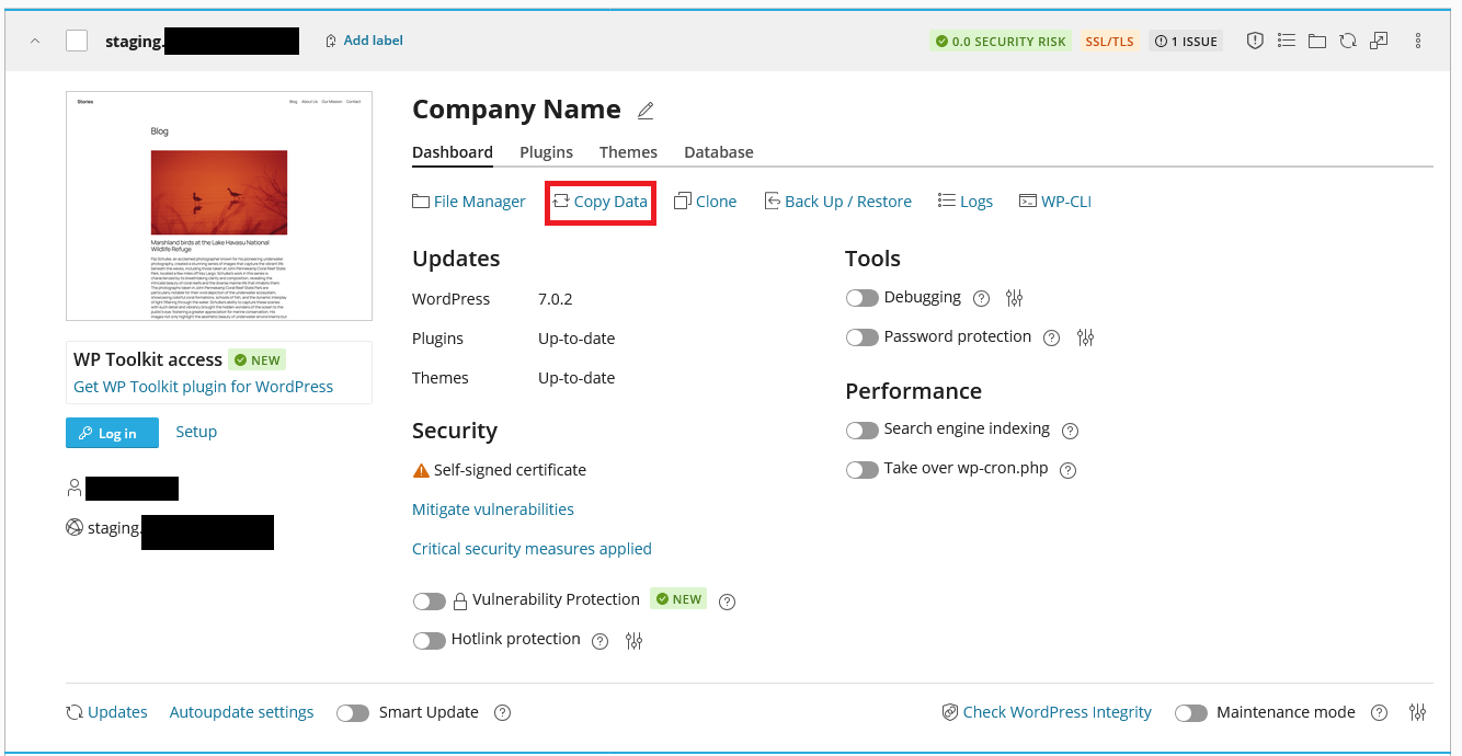 Copy option