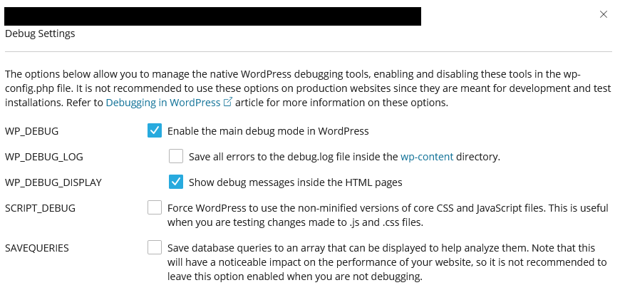 Configuring Debug Settings in WordPress Management